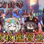 【原神】聖遺物鑑賞会！育成方針等アドバイスします！【初見・質問歓迎】