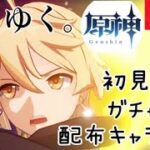 【#原神 】空と配布キャラとスメール-第4章-2 ハードモード【ルールは概要欄】