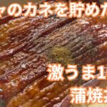 【原神】ガチャで金欠ならコレを食え！100円で作れる絶品「蒲焼き丼」レシピ