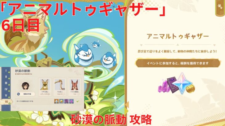 【原神5.2】「アニマルトゥギャザー」6日目 砂漠の脈動 攻略【Genshin Impact】