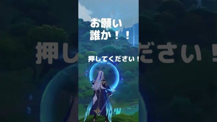 シトラリまじ引きたい助けて(ガチャ禁中)#原神