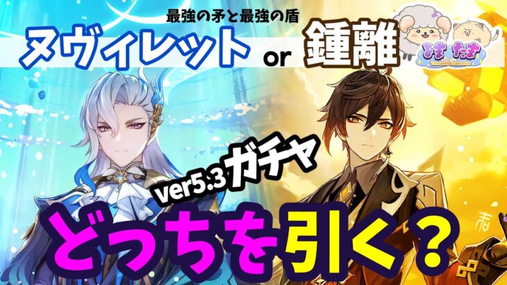 【原神】最強の矛と盾！どちらを選ぶ？おすすめの引き方をまったり解説します【タイムスタンプ有】