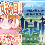 【 原神#49 】久々のガチャだ～～～！！！鍾離先生を迎えるぞ～～！！そしていよいよ炎の国！ナタ！！！【 #新人VTuber 】