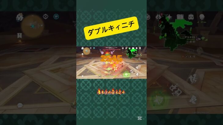 キィニチ二人でマトリックス#genshin #genshinimpact #原神 #原神攻略 #キャラ #キャラ性能 #キャラクター #キィニチ