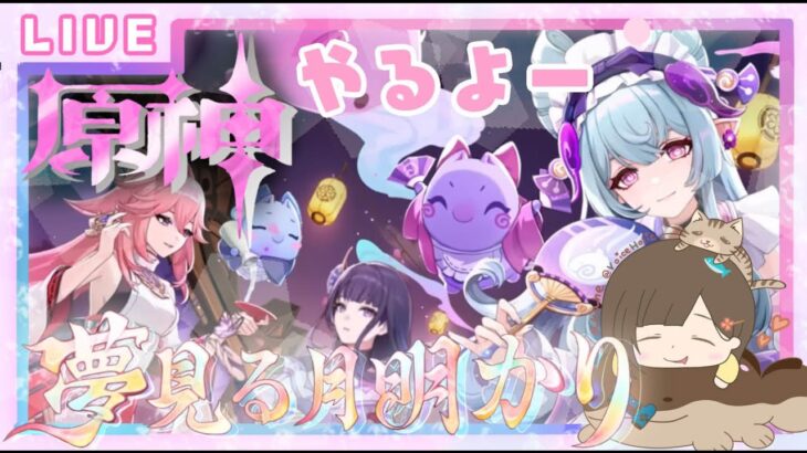 瑞希と遊ぶまったり枠_(　 _ *`ω､)_ *ﾟ【原神】