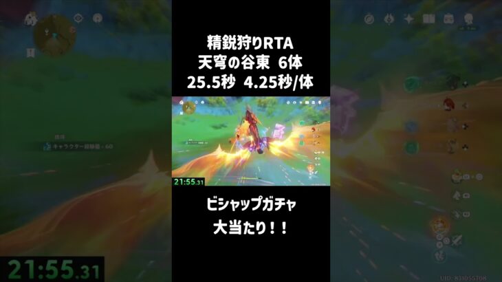 天穹の谷東 6体 25.5秒 ビシャップガチャ大当たり！【原神/精鋭狩り】
