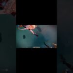 新角色茜特菈莉有点可爱！#原神 #萌新