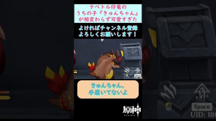 テペトル仔竜が最強に可愛くてデレッデレになる旅人【#原神】#shorts