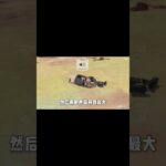 还睡？收你们来了！ #原神纳塔 #原神火山探险大赛 #游戏彩蛋 #提瓦特剧场 #和我一起玩原神吧