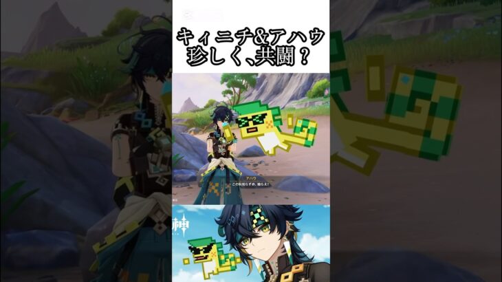 【#原神 】ネタバレ注意⚠️キィニチとアハウの共闘シーン#genshinimpact #shorts