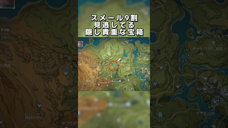 スメール9割が見逃してる隠し貴重な宝箱 #原神 #原神攻略
