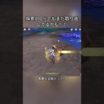 探索100％でもまだ取り逃してるかも！？5.6ガチャ後半シリアルコード:LWKCTFH1L8S9#genshinmo #げんしん #原神 #genshinimpact #foryou #fyp #原石