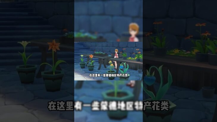 原神：蒙德地區的，7個良心商人！#原神 #电玩游戏解说 #genshinimpact #游戏攻略 #游戏 #遊戲 #米哈游 #hoyocreators #崩坏星穹铁道