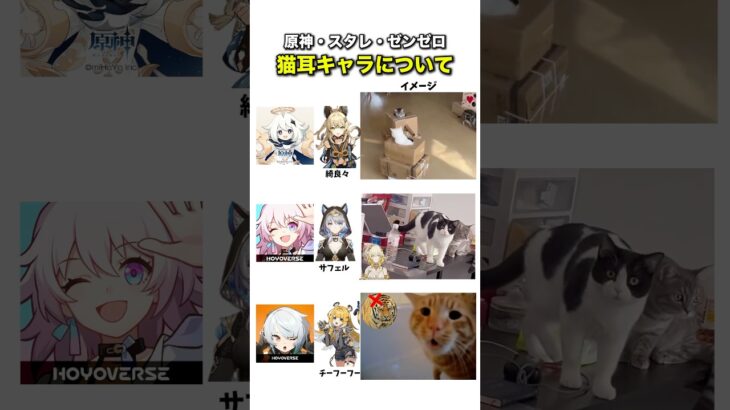 猫耳キャラのイメージについて【原神・スタレ・ゼンゼロ】#原神 #genshinimpact #崩壊スターレイル #スタレ #ゼンレスゾーンゼロ #zzzero #meme