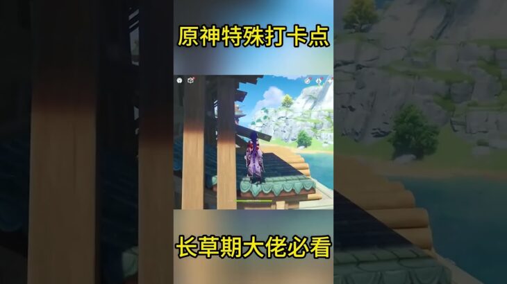 原神特殊打卡点，长草期大佬必看