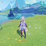 ［原神Genshin］聖遺物鑑賞参加　　　　　　　[鳴潮 スタレ ゼンゼロ FGO デスストランディング2 デススト2 エルデンリングナイトレイン ファンタジーライフi ルーンファクトリー Gジェネ]