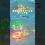 バクみたいな追尾性能のキィニチ砲 #原神 #genshinimpact #genshin #キィニチ #全キャラアタッカー化計画