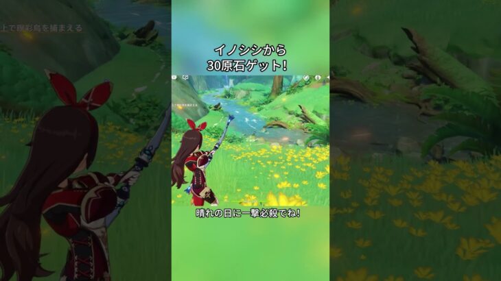 イノシシから30原石ゲット！5.7ガチャ後半シリアルコード:EZIZA5FG5318#genshinmo #げんしん #原神 #genshinimpact #foryou #fyp #原石