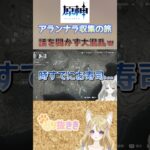 【原神】アランナラ収集の旅　ルールを全く聞かず大混乱w【あまこま きき/切り抜き】 #原神 #genshinimpact #vtuber #切り抜き#ききAIR