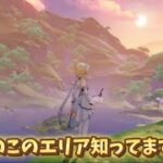 原神の綺麗なエリアでも見て一旦ガチャ禁を忘れます……