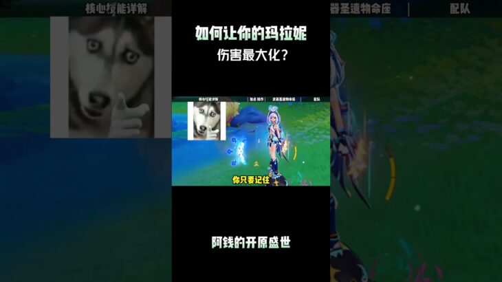 如何让你的玛拉妮伤害最大化？ #原神纳塔 #提瓦特冒险札记 #原神攻略 #玛拉妮 #原神