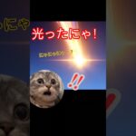 【原神】オロルンガチャの為がなぜか違う方向に…#原神 #チャスカ  #ガチャ