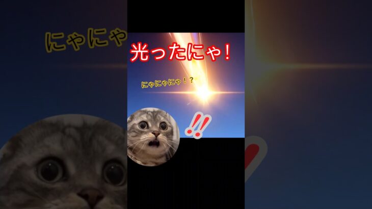 【原神】オロルンガチャの為がなぜか違う方向に…#原神 #チャスカ  #ガチャ