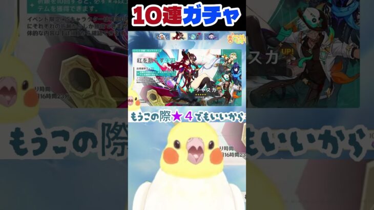 【原神】ピックアップキャラを求めて単発で10連ガチャに挑んだオカメインコの結果　 #genshinimpact #原神 #切り抜き #vtuber #オカメインコ