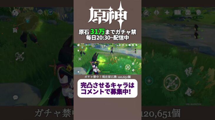 投票で完凸キャラ決めるガチャ禁配信 256日目 #ガチャ禁 #原神 #ゲーム実況 #genshinimpact #無課金 #hoyoverse #mihoyo #参加型 #配信 #聖遺物