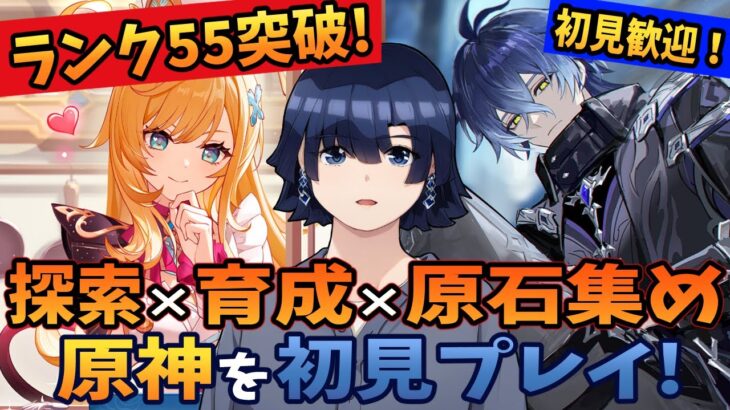 【原神/ガチャ】ランク55突破！フリンズとネフェルとヤフォダと少女(コロンビーナ)とフリーナとファルカに向けて原石集め！