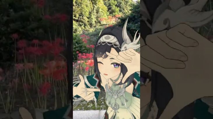 【ヒガンバナ クレイジー 4/5】夕暮れ近づく山陰に咲く  原神の胡桃（フータオ）と藍硯（らんやん）が「LADY CRAZY」【原神 AR ダンス  HIMEHINA】