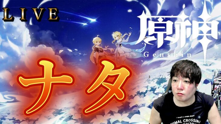 【原神】今更ナタ攻略【Genshin Impact】