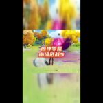 零氪通关幽境危战难度5！第一期