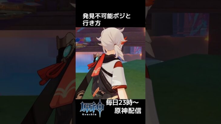 【原神】ここは強すぎる！ルールによってはレギュレーションに触れかねない最強ポジ『原神かくれんぼ』 #shorts #原神 #genshinimpact #genshin