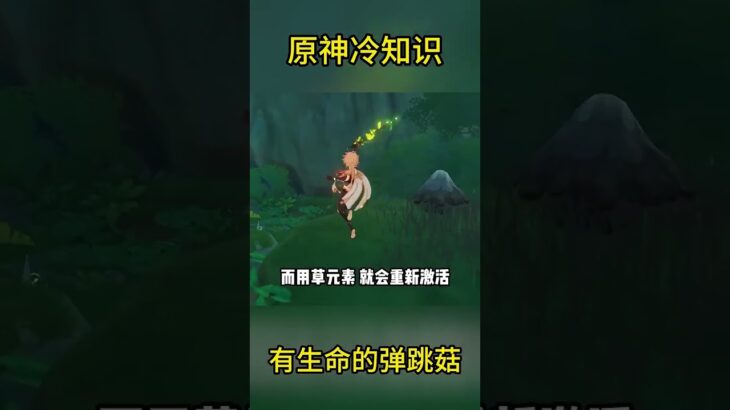 原神冷知识：有生命的弹跳菇 #冷知识
