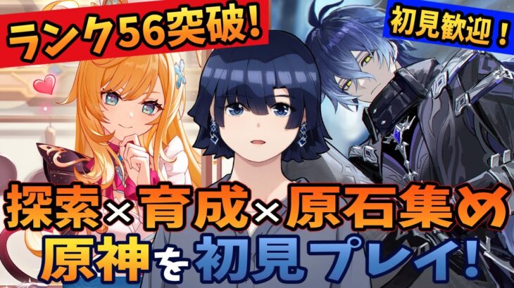 【原神/ガチャ】ランク56突破！フリンズとアイノとナヒーダとラウマの育成と鍾離とネフェルとヤフォダと少女コロンビーナとフリーナと​​ヌヴィレットと夜蘭とファルカと雷電将軍と八重神子に向けて原石集め！