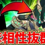 【原神】あのキャラがまさかの最適！？ネフェルと相性最高サポート5選【げんしん】