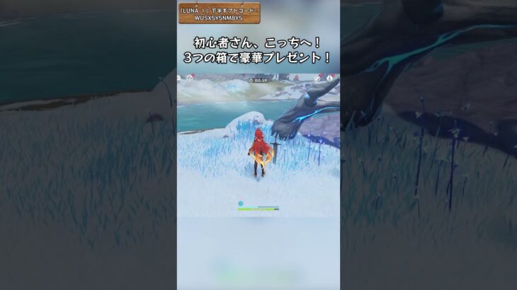 3つの箱で豪華プレゼント！「LUNA Ⅰ」下半ギフトコード：WUSX5Y5NM8Y5