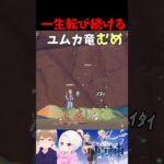 ユムカ竜『ちょ、ちょっと！立てないんだけど？！』【原神】