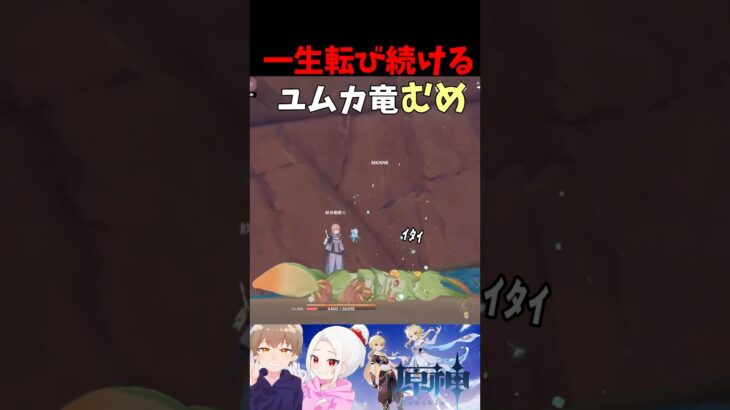 ユムカ竜『ちょ、ちょっと！立てないんだけど？！』【原神】