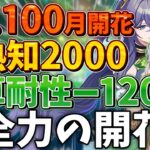 【原神】レベル100で熟知めっちゃ盛って草耐性を下げまくったら、豊穣開花ダメージ凄いことになるんじゃないか。ラウマで強化されたし【原神ゆっくり解説】