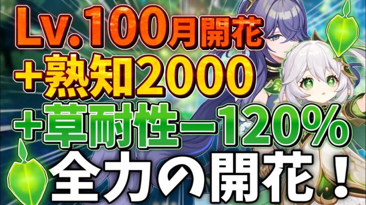 【原神】レベル100で熟知めっちゃ盛って草耐性を下げまくったら、豊穣開花ダメージ凄いことになるんじゃないか。ラウマで強化されたし【原神ゆっくり解説】