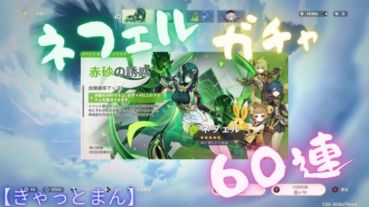 【原神】ネフェルガチャ60連【きゃっとまん】 #原神 #ネフェル #きゃっとまん