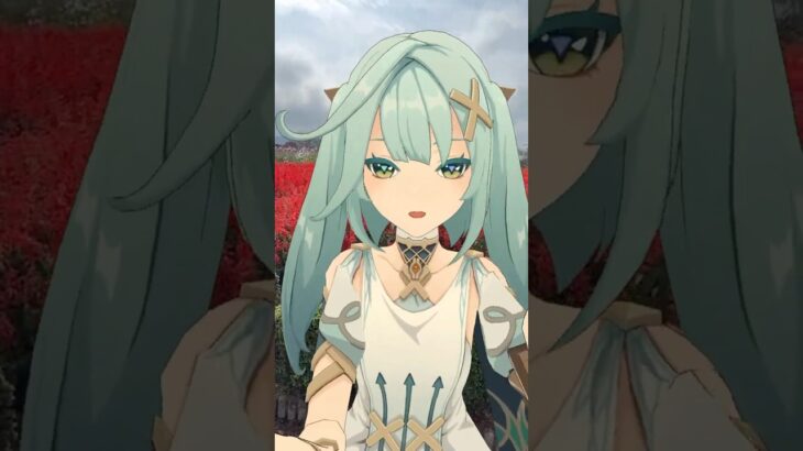 【サルビア キスキツネ 3/3】 鮮やかな真紅の花畑で  原神のファルザンと藍硯（らんやん）が「キスキツネ」