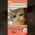 影月月在攻略赛道还是太权威了！70％的年轻人都不一定比他能熬！#你的影月月 #游戏攻略 #原神 #熬夜