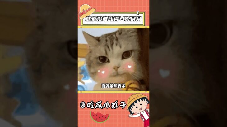 影月月在攻略赛道还是太权威了！70％的年轻人都不一定比他能熬！#你的影月月 #游戏攻略 #原神 #熬夜