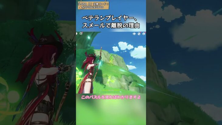 ベテランプレイヤー、スメールで離脱の理由 「LUNA Ⅱ」交換コード：NTIFRX2XSHUD