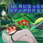 11月です・・・ガチャが引けるんです！！ネフェル２凸＋餅武器確保いきます！他幻想シアターなど！  #横画面配信 #原神  #ゲーム実況