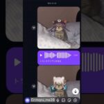 【原神】もしも原神キャラが猫になったら… #原神 #genshinimpact #genshin #shorts