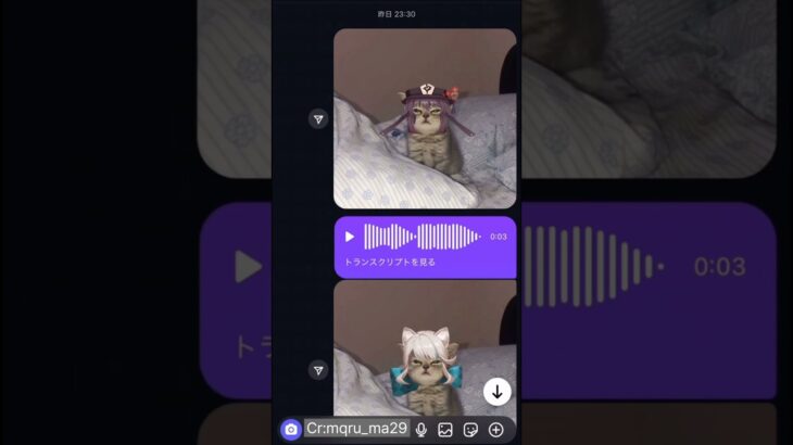 【原神】もしも原神キャラが猫になったら… #原神 #genshinimpact #genshin #shorts